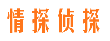 高淳侦探调查公司